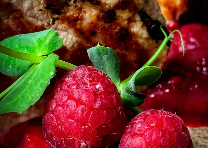 Hotel Serenity Temešvár